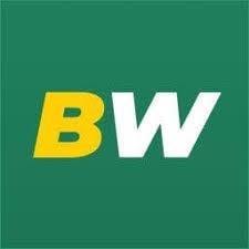 Logo de Betwinner Chile